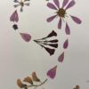 Let It Go - Image 7