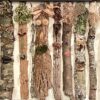 Forest Friends - Image 2