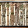 Forest Friends