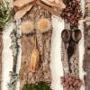 Forest Friends - Image 3