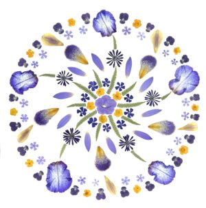 pressed flower art mandala