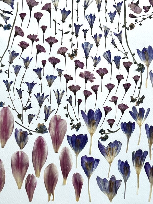 Rise With Spring - Image 7