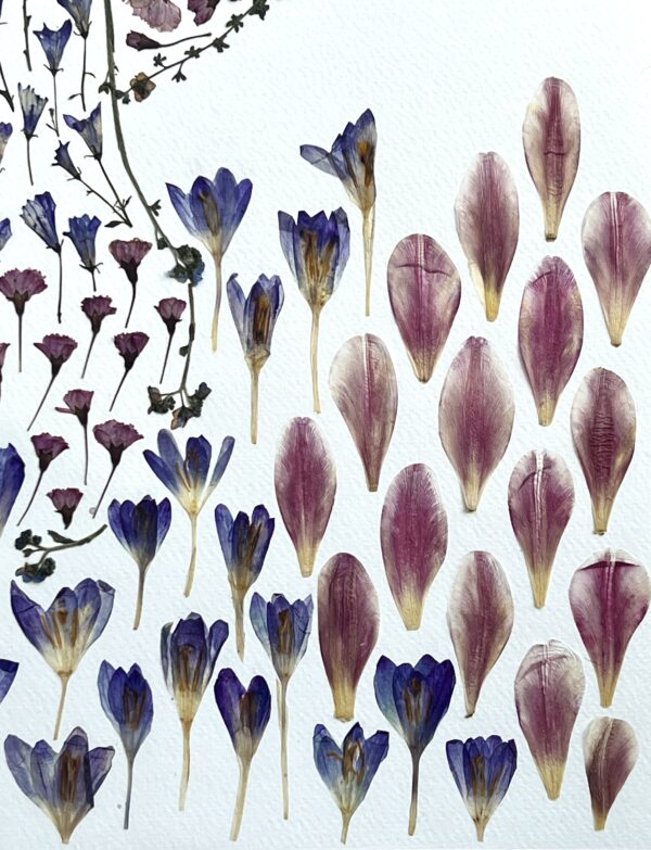 Rise With Spring - Image 6
