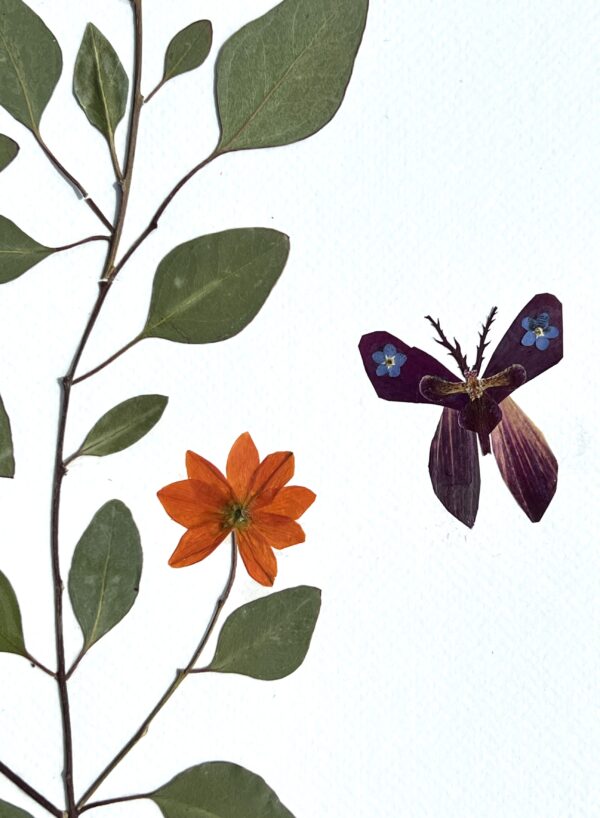 Butterfly Dreams - Image 2