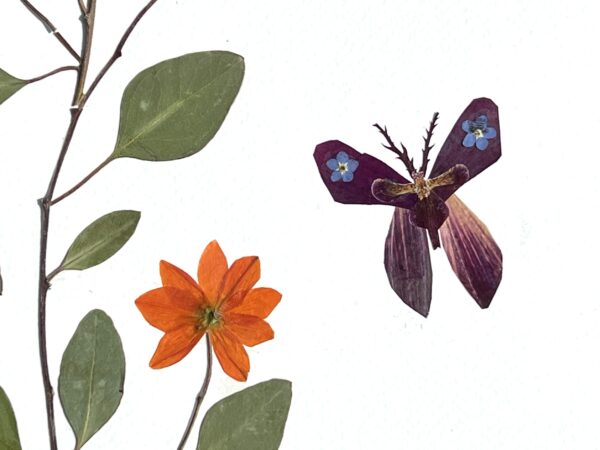 Butterfly Dreams - Image 5
