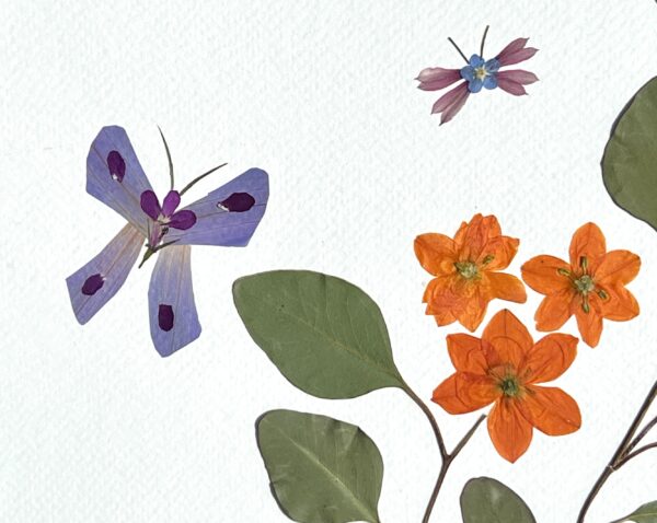 Butterfly Dreams - Image 9