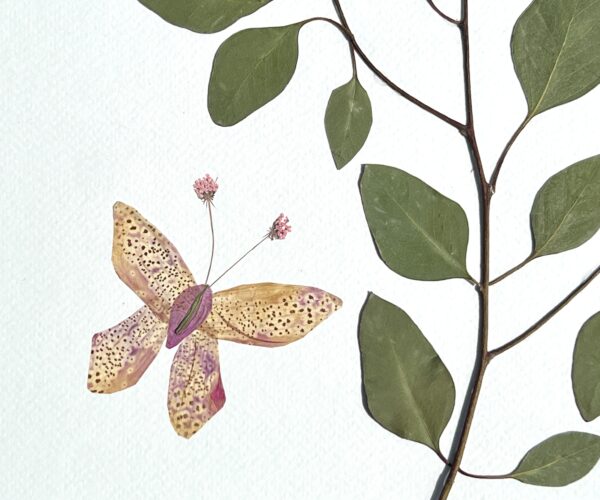 Butterfly Dreams - Image 10