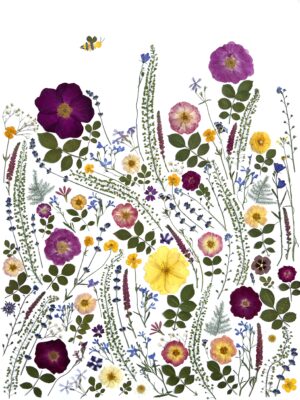 Summer Solstice Garden