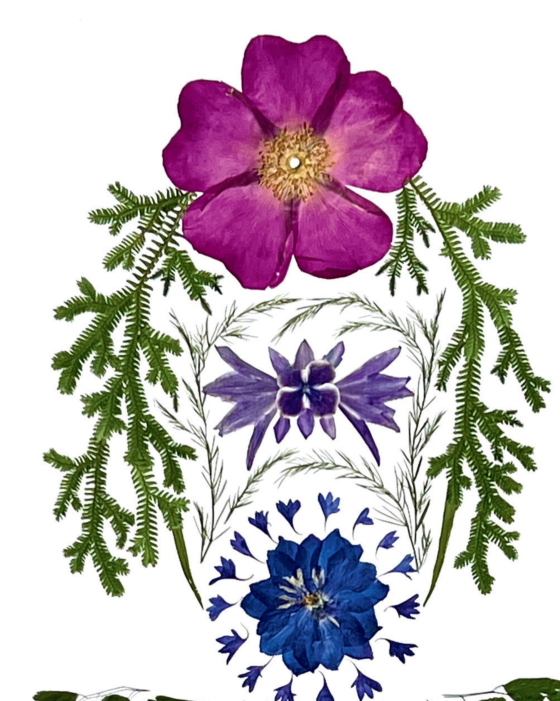 Chakra Fairy, pressed flower chakra wall art by Gretchen TenBrook