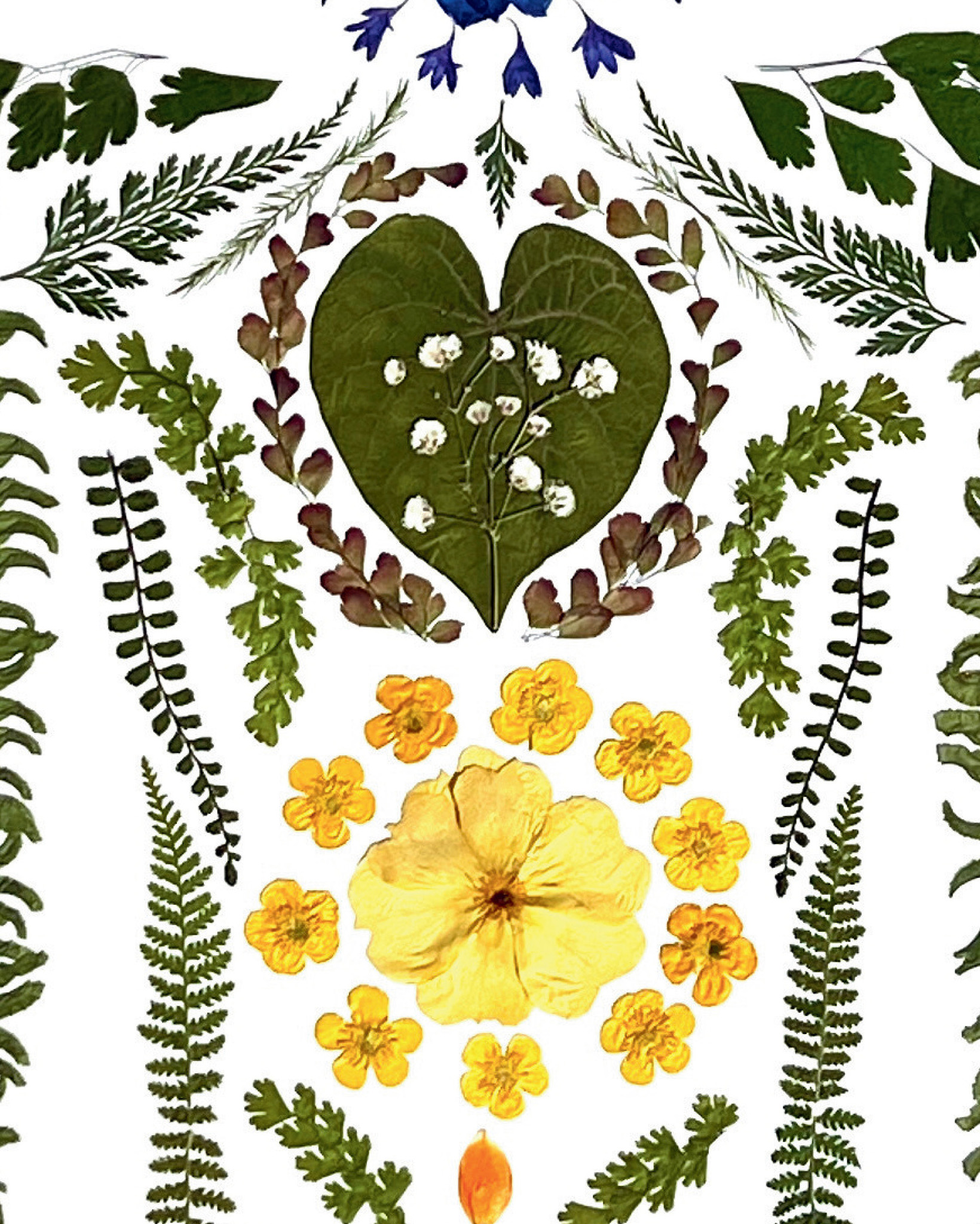 Chakra Fairy, pressed flower chakra wall art by Gretchen TenBrook (view 9)