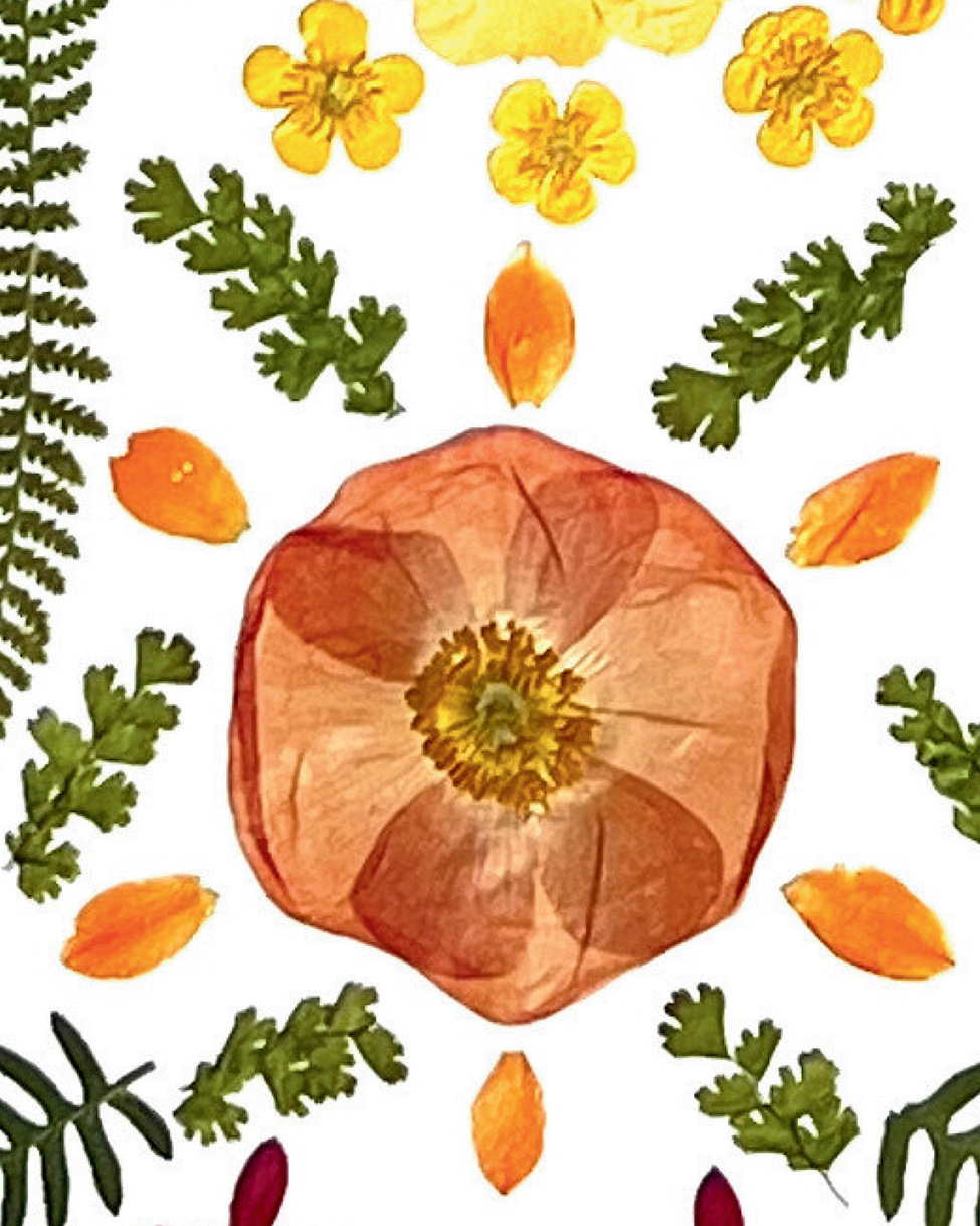 Chakra Fairy, pressed flower chakra wall art by Gretchen TenBrook (view 8)
