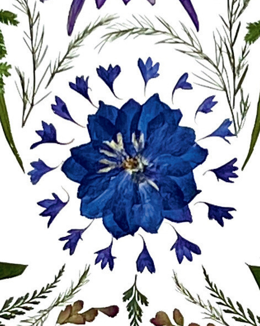 Chakra Fairy, pressed flower chakra wall art by Gretchen TenBrook (view 4)