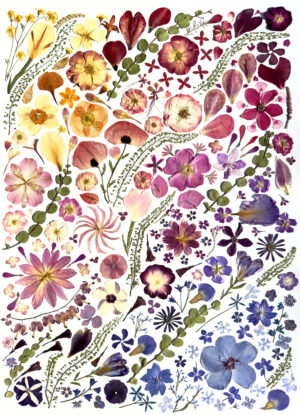 Rainbow Garden