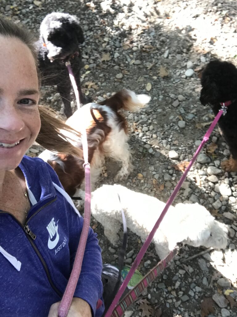 Gretchen TenBrook walking several dogs on leashes along a gravel path